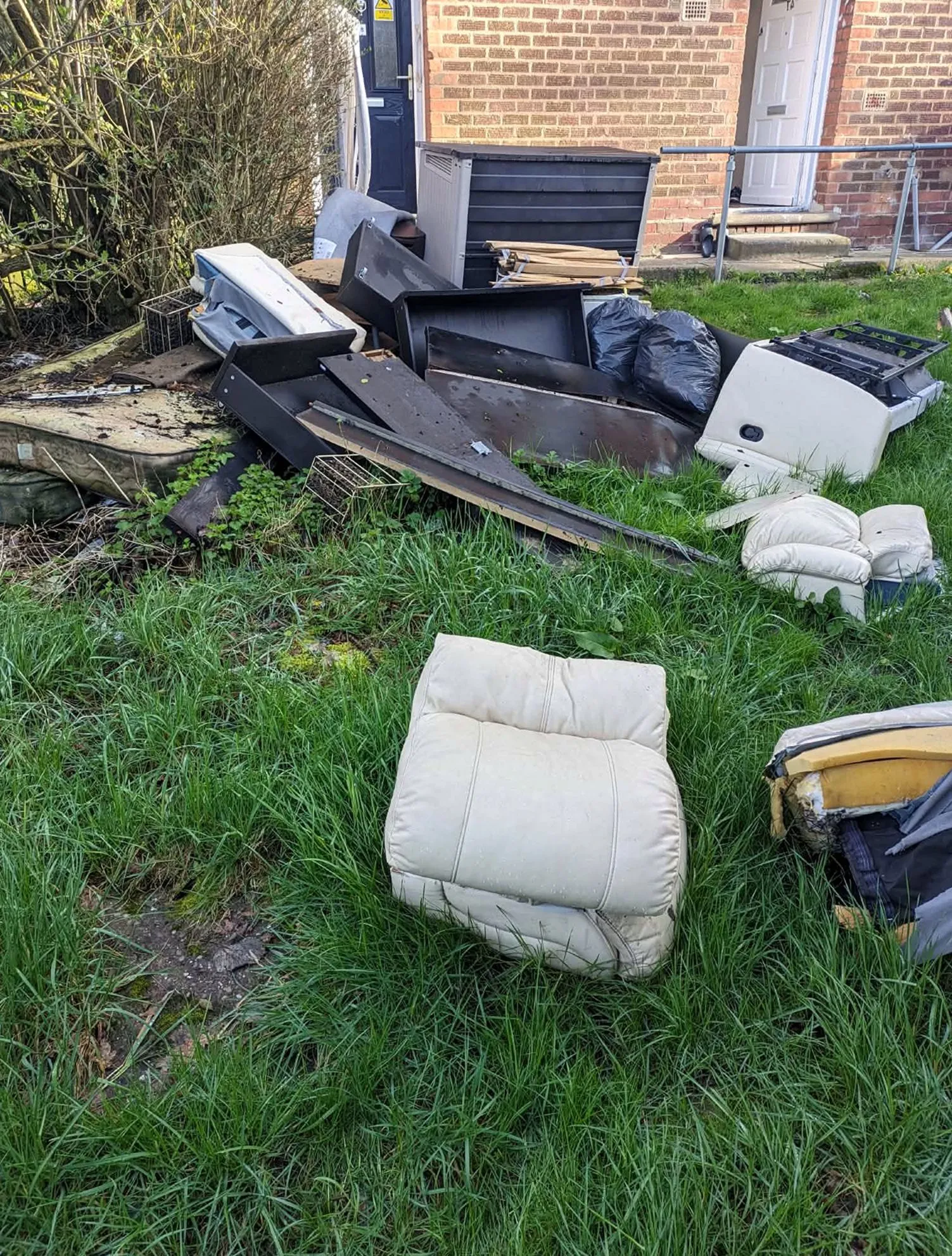 Yard waste and green waste removal in San Jose